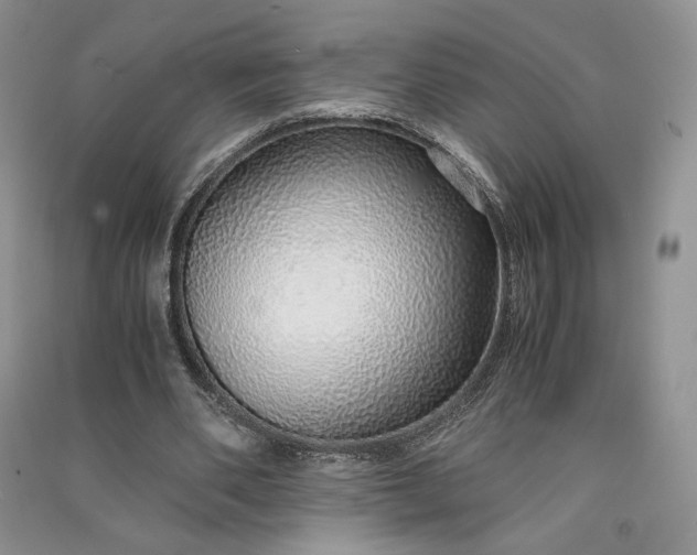 X0000090900486200708131355