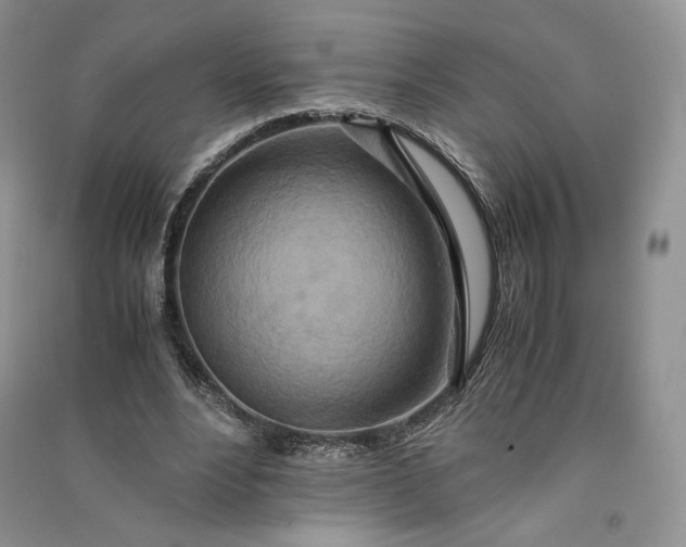 X0000090900488200708131355