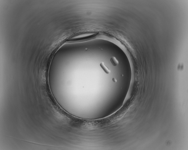 X0000090900489200708131355