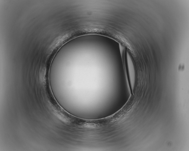 X0000090900490200708131355