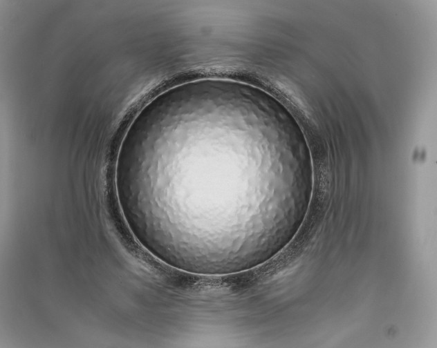 X0000090900491200708131355