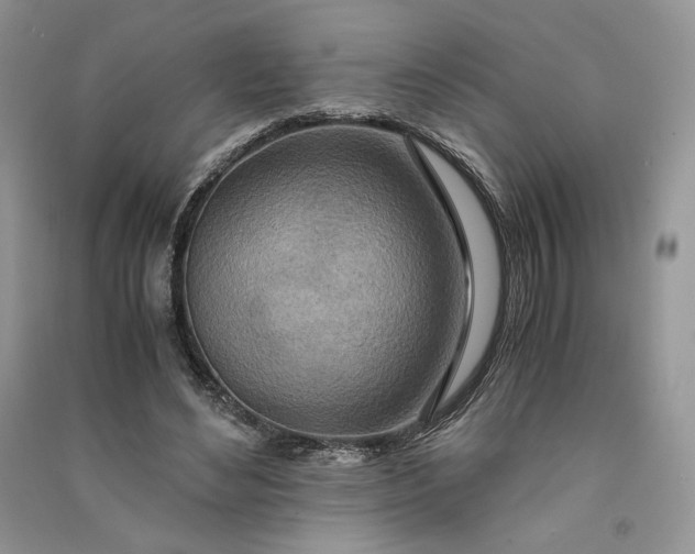 X0000090900492200708131355