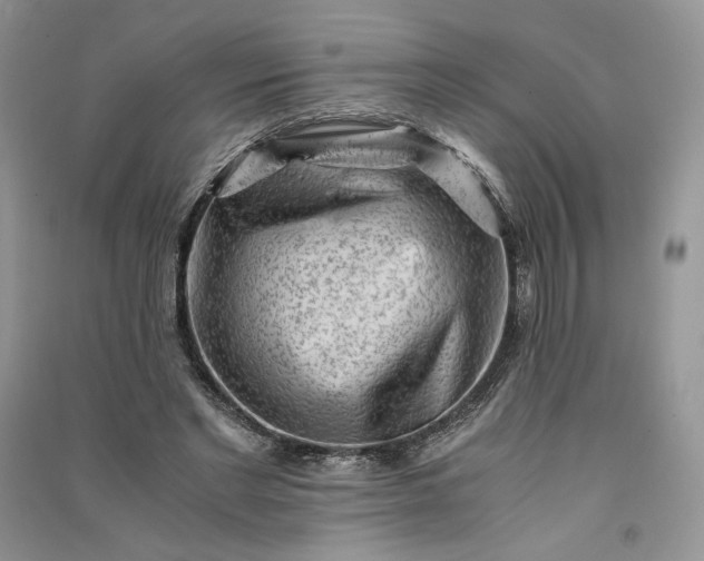 X0000090900493200708131355