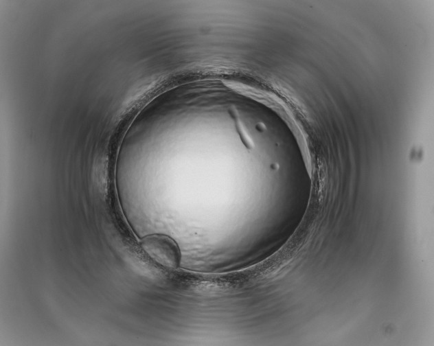 X0000090900494200708131355