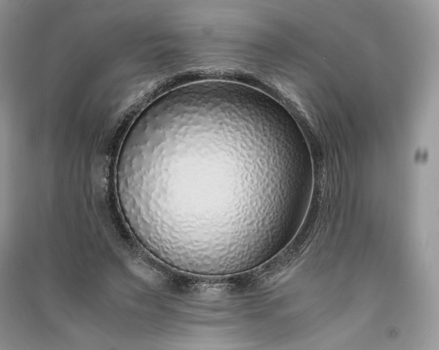 X0000090900495200708131355