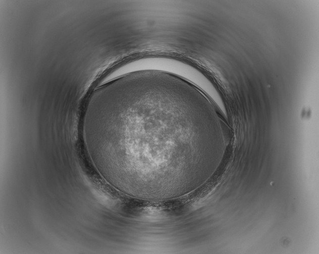 X0000090900496200708131355