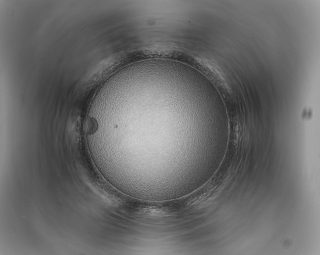 X0000090900498200708131355