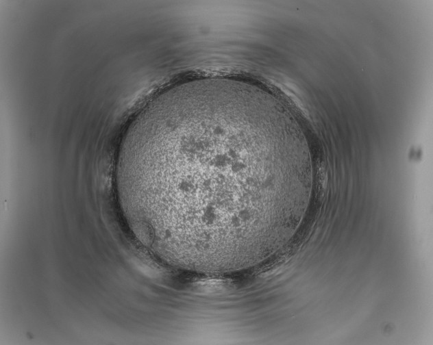 X0000090900499200708131355