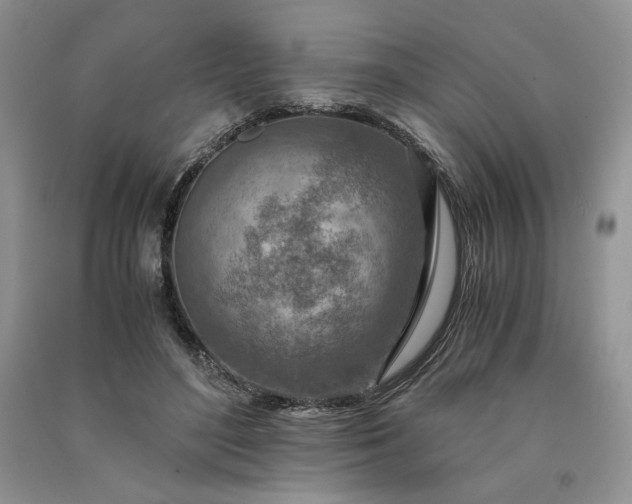 X0000090900500200708131355