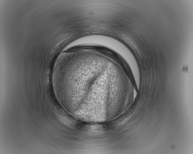 X0000090900501200708131355