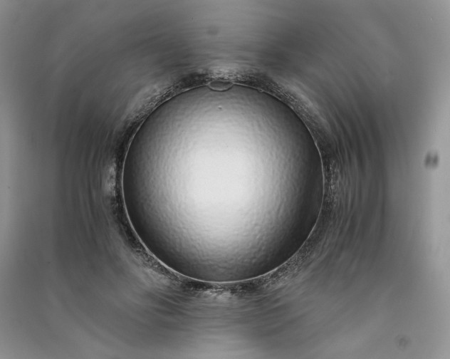 X0000090900502200708131355