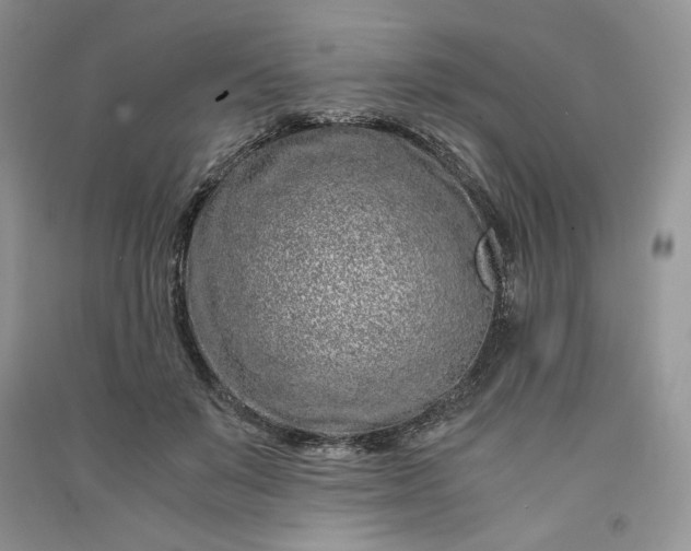 X0000090900503200708131355