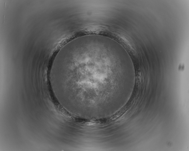 X0000090900504200708131355