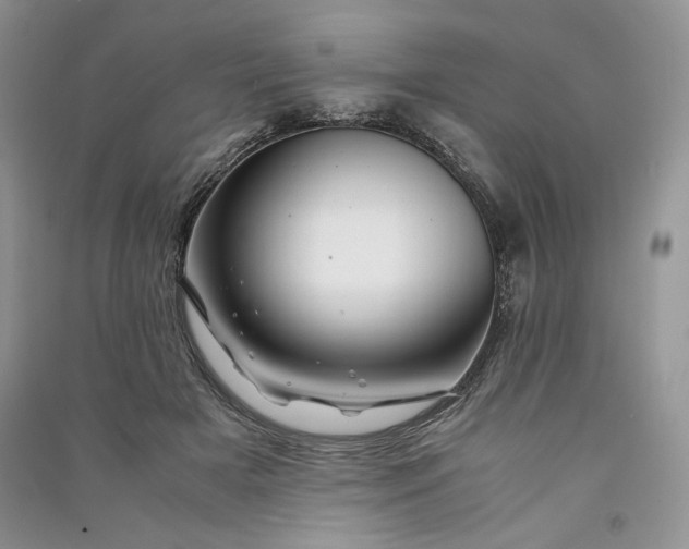 X0000090900505200708131355