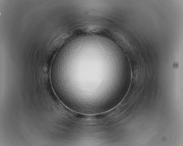 X0000090900506200708131355