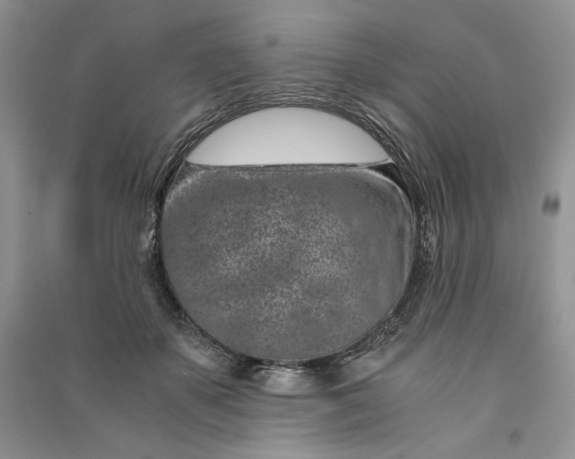 X0000090900507200708131355