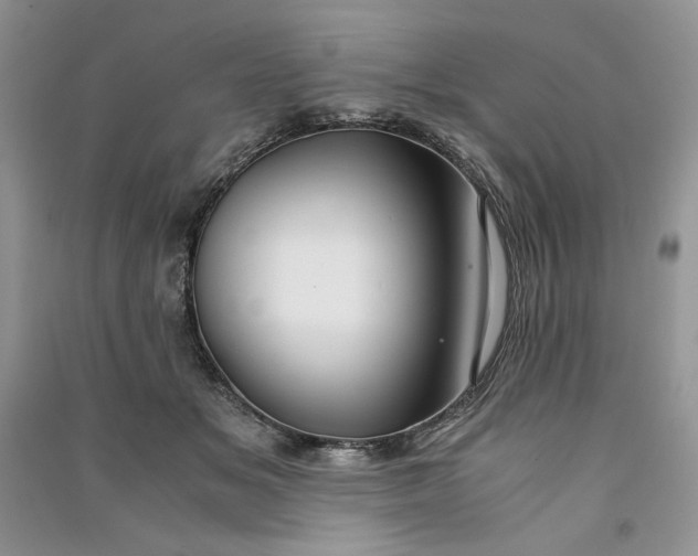 X0000090900509200708131355