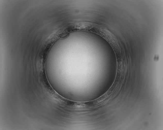 X0000090900510200708131355