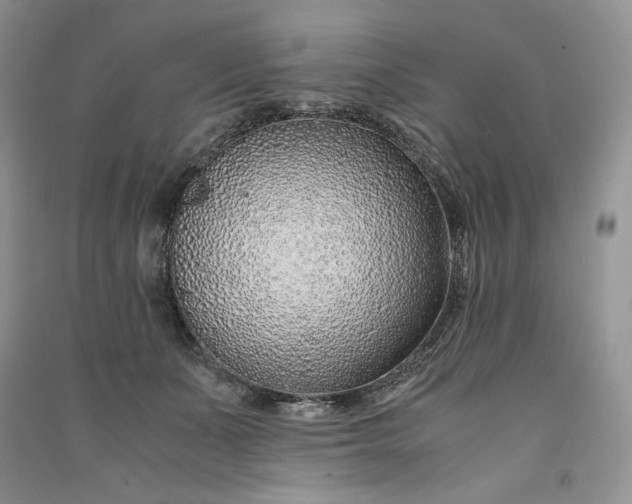 X0000090900511200708131355