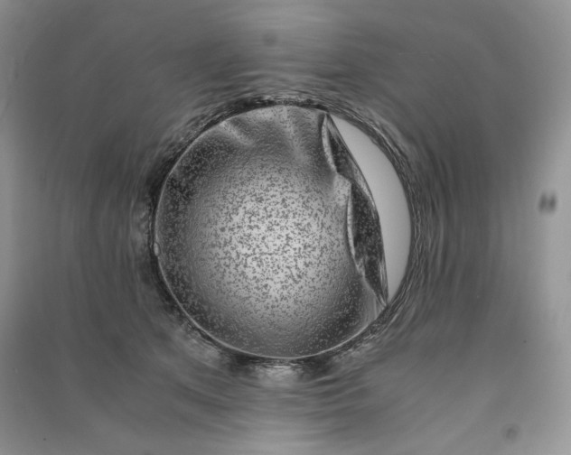 X0000090900513200708131355