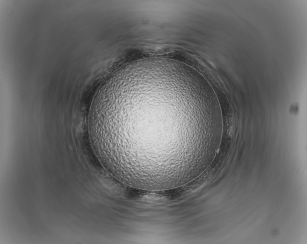 X0000090900515200708131355