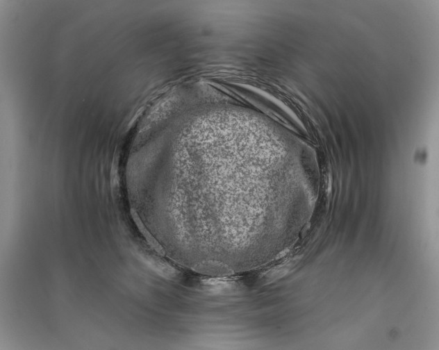 X0000090900516200708131355