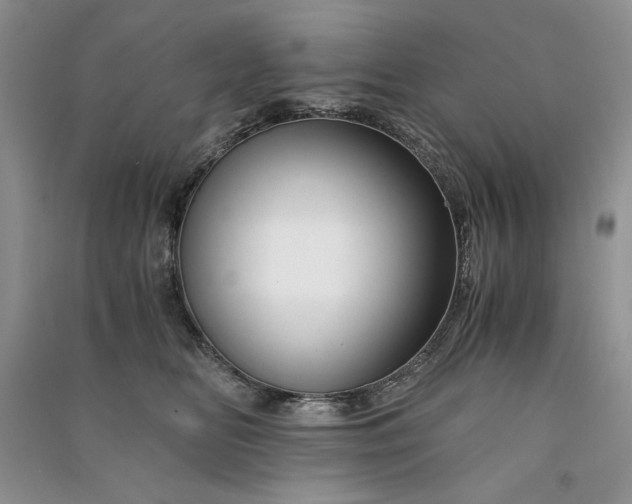 X0000090900518200708131355