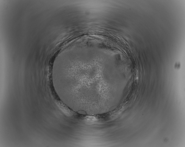 X0000090900519200708131355