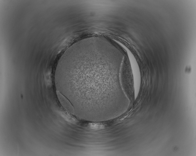 X0000090900520200708131355