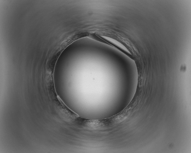 X0000090900521200708131355