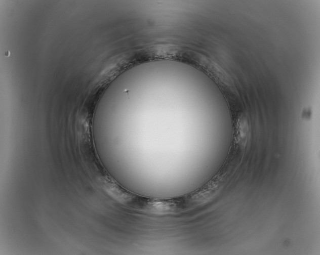 X0000090900522200708131355