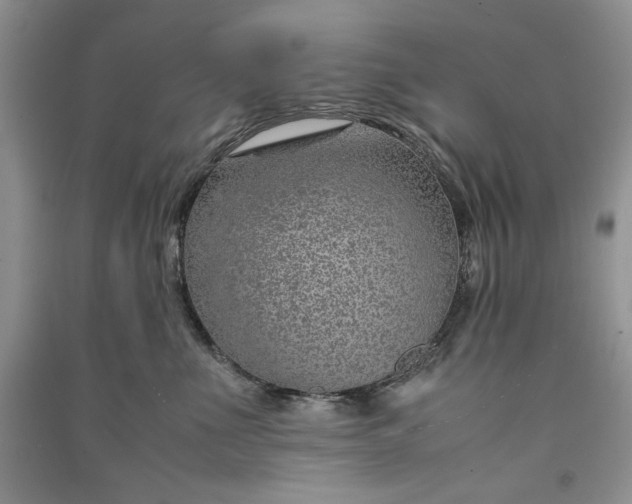 X0000090900523200708131355