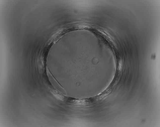 X0000090900524200708131355