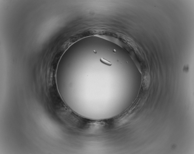 X0000090900525200708131355