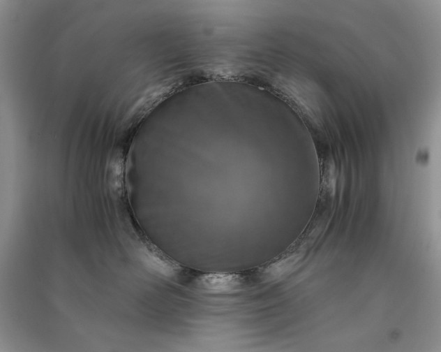 X0000090900526200708131355