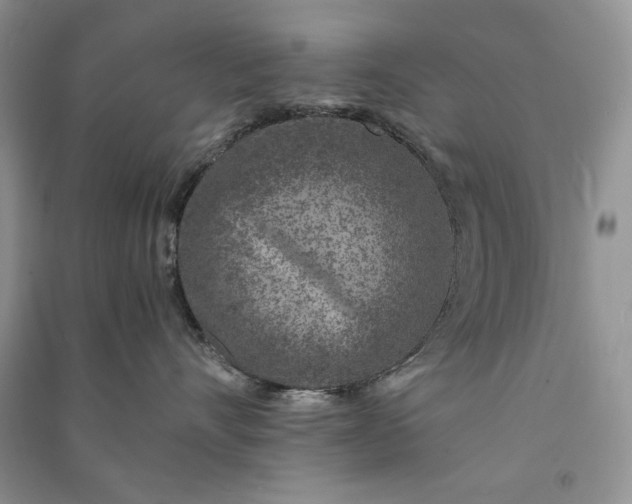 X0000090900528200708131355