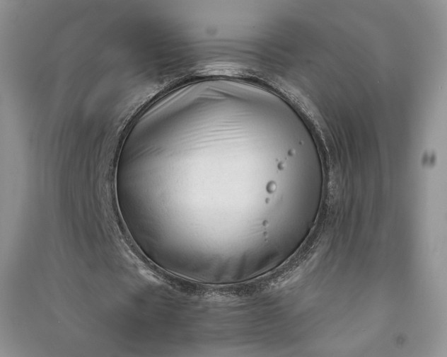 X0000090900529200708131354