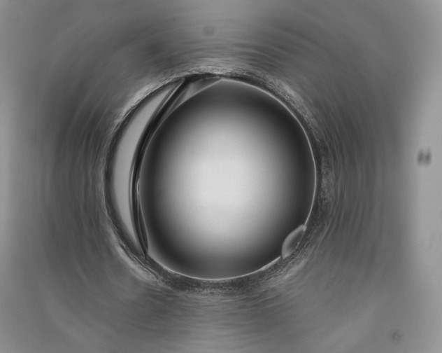 X0000090900530200708131354