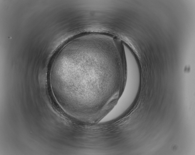 X0000090900531200708131354