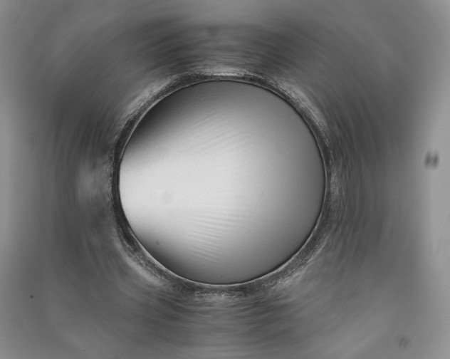 X0000090900533200708131354