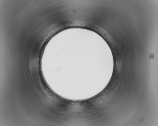 X0000090900534200708131354