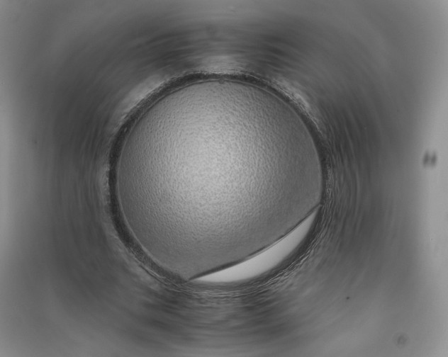 X0000090900535200708131354