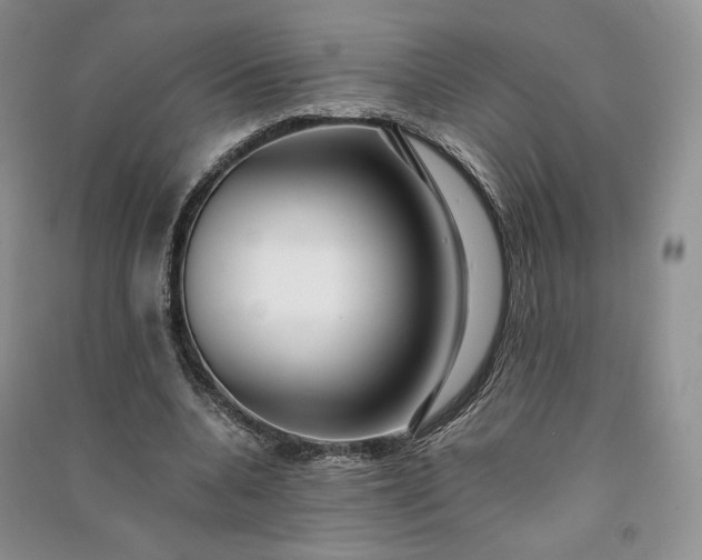 X0000090900536200708131354