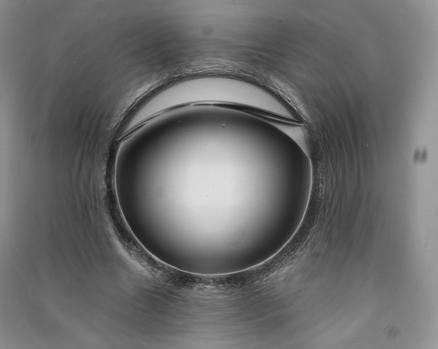 X0000090900538200708131354