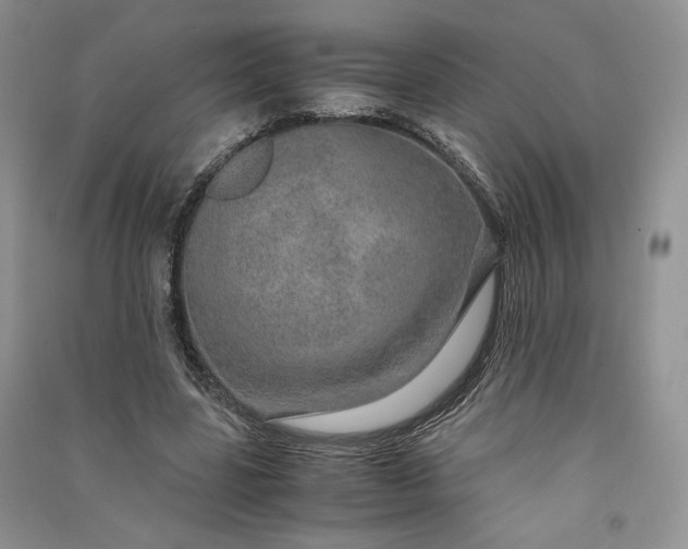 X0000090900539200708131354