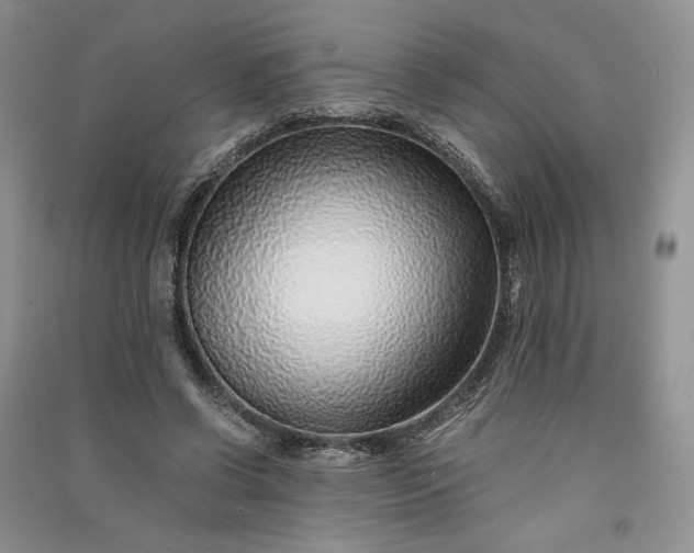 X0000090900542200708131354