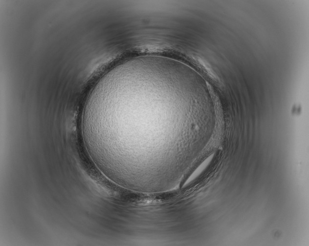 X0000090900543200708131354