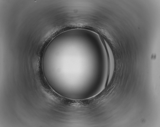 X0000090900544200708131354