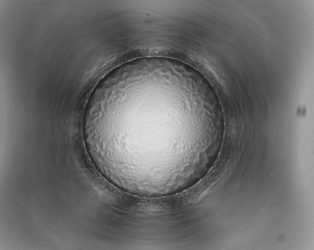 X0000090900545200708131354