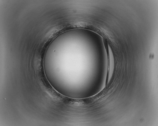 X0000090900548200708131354